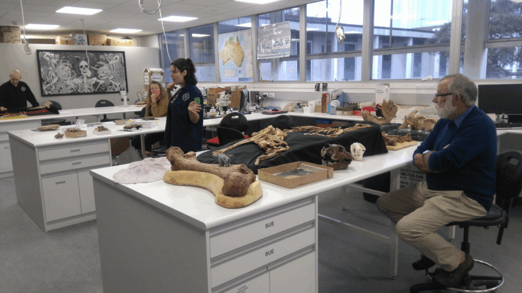 Your Guide to the Fully Funded Flinders University RTP Scholarship 2026 2 image 40