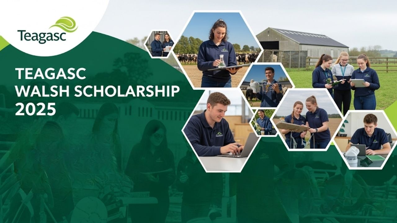 Teagasc Walsh Scholarship 2025