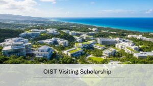 OIST Visiting Scholarship (TSVP) FY2026