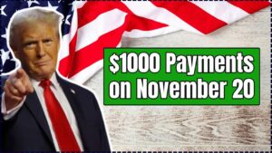 $1000 Payments on November 20