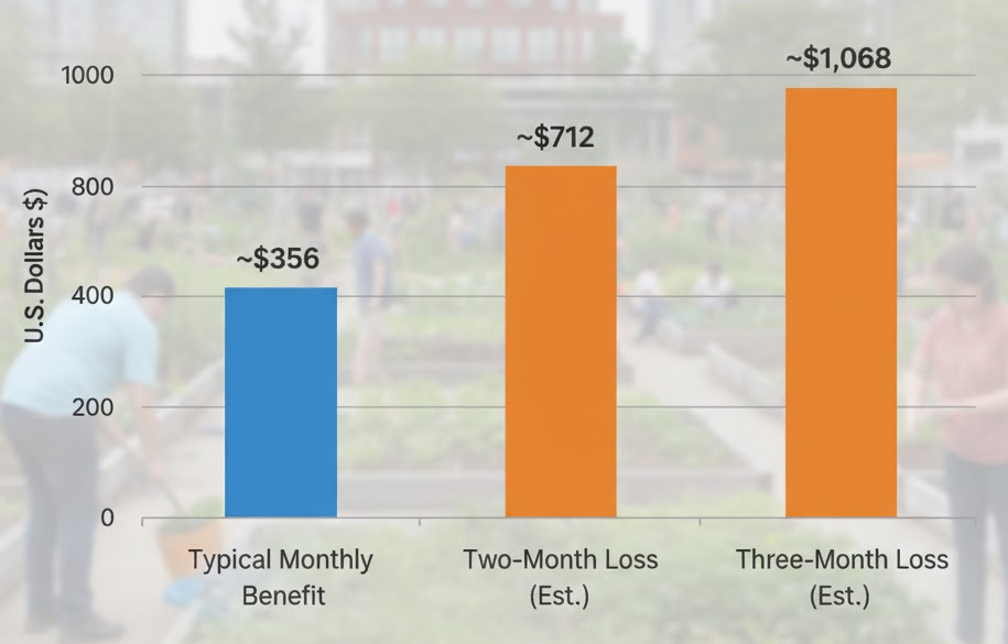 SNAP benefits per household with projected losses if payments stop for two months